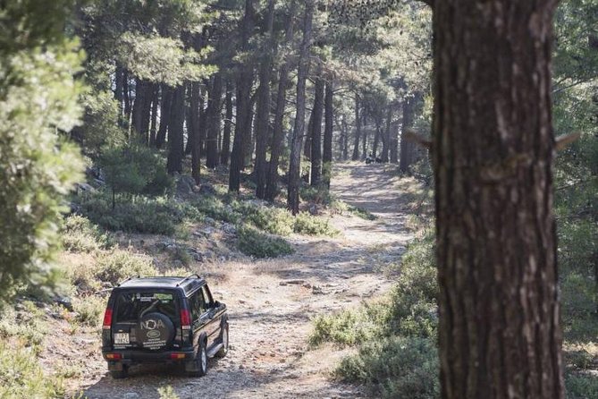 Rhodes Backcountry Shore Excursion - Pickup Information