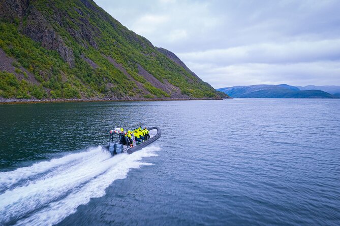 RIB Expedition to Seiland National Park - 3.5h - Trip Inclusions