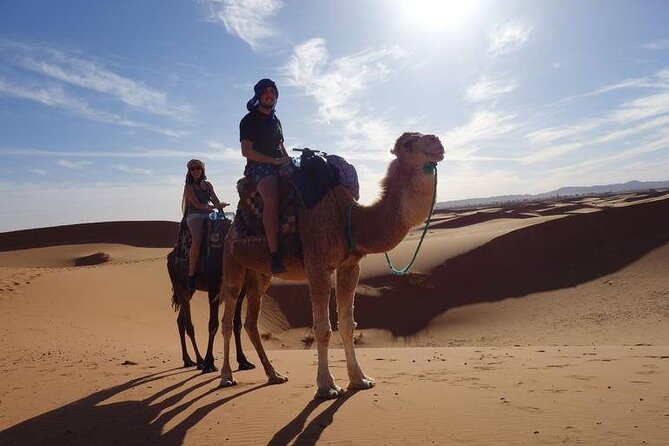 Ride the Camels for Sunset in Merzouga Dunes - Experiencing Moroccan Hospitality