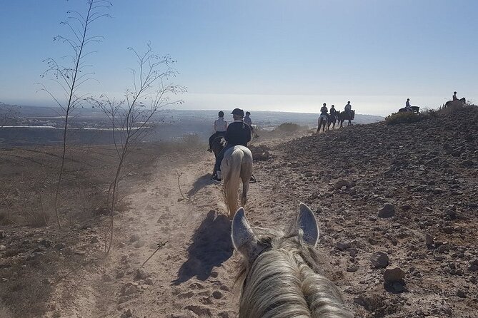 Riding 2 Hours Along the Maspalomas Route - Tour Duration