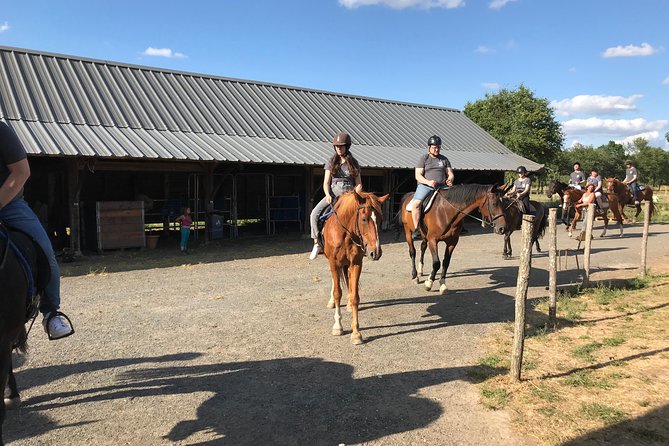 Riding Course for All Levels 1/2 Day (3 Hours) - Detailed Course Inclusions