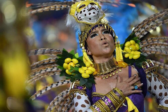 Rio 2025 Carnival Parade at Sapucaí With Transfer (Peer Sectors) - Sambadrome Experience
