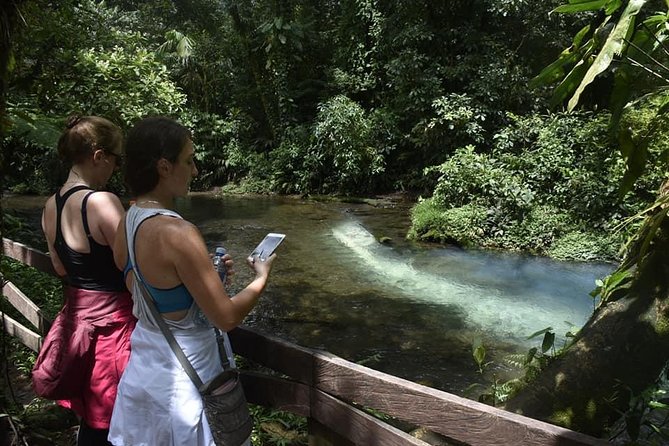 Rio Celeste Waterfall | From La Fortuna & Tamarindo/Papagayo Area - Inclusions at a Glance