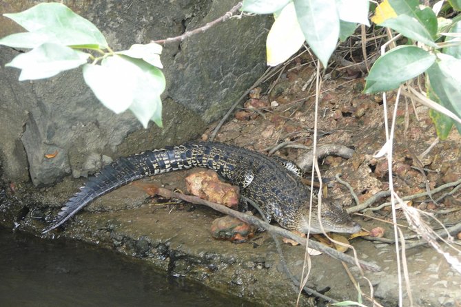 River Safari Bentota - Meeting and Pickup Details