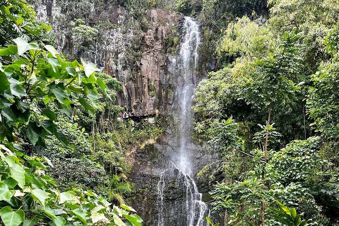 Road to Hana Private Tour: Adventure on Maui in Convertible SUV - Knowledgeable Local Guides