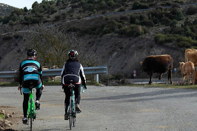 Road, Trekking or E-bike Bike Rental in Cagliari - Pricing Structure