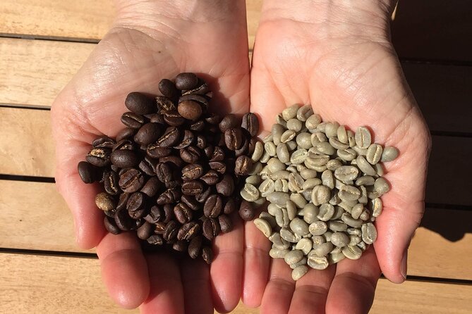 Roast Your Own Coffee - Unique Menu Options
