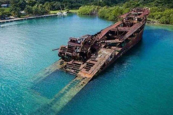 Roatan Best Nature Life - Discovering Unique Flora and Fauna