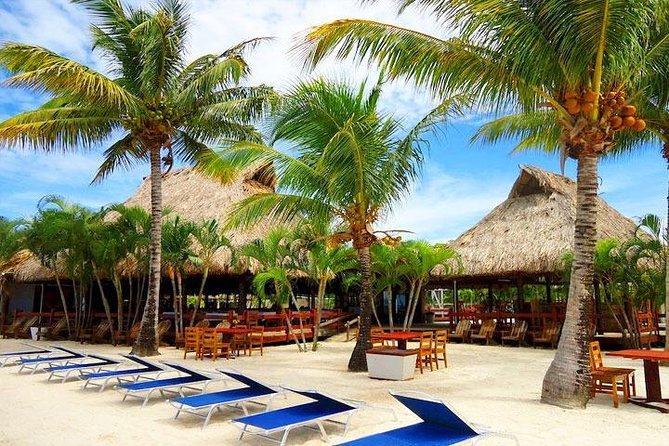 Roatan Las Palmas Beach Club, FREE Sloths & Monkey, Private Transportation - Inclusions and Amenities