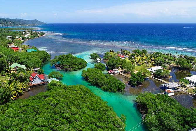 Roatan Mangrove Tunnel Culture Tour on a Water Taxi Tuk-Tuk - Exploring Roatans Cultural Highlights