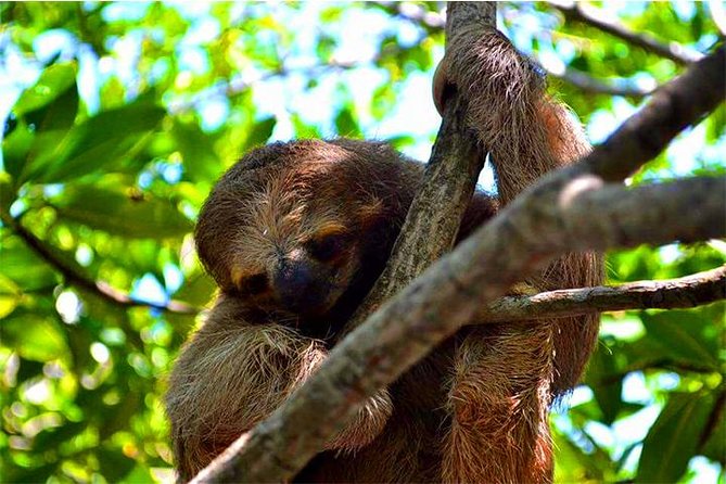 Roatan Sun & Fun Custom Private Island Tour - Included Amenities