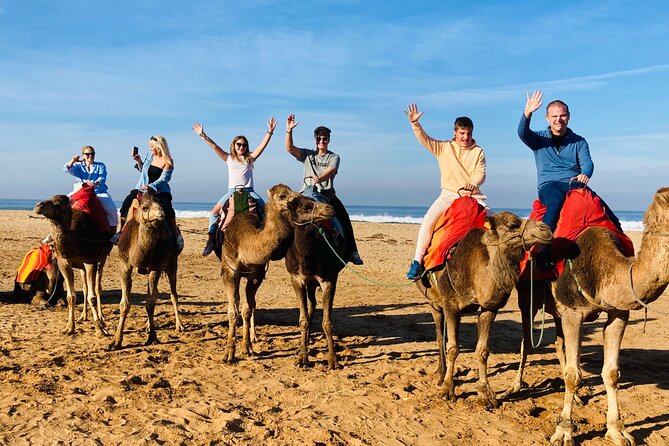 Rock The Kasbah - Historical Walking Tour in Tangier - Schedule and Availability