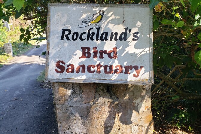 Rockland Bird Sanctuary Private Guided Tour From Montego Bay - Inclusions and Amenities