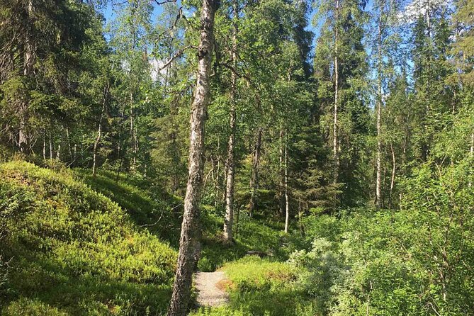 Rovaniemi: Korouoma Canyon & Waterfalls Tour With BBQ - Inclusions