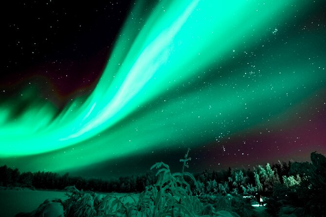Rovaniemi: Private Aurora Tour With Guaranteed Sightings - Pickup and Drop-off Information