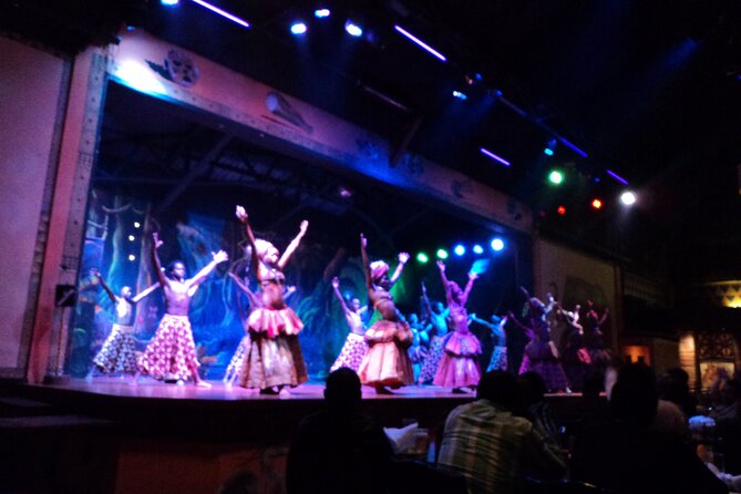 Safari Cat Dancers Show And Dinner - Unique Dinner Menu