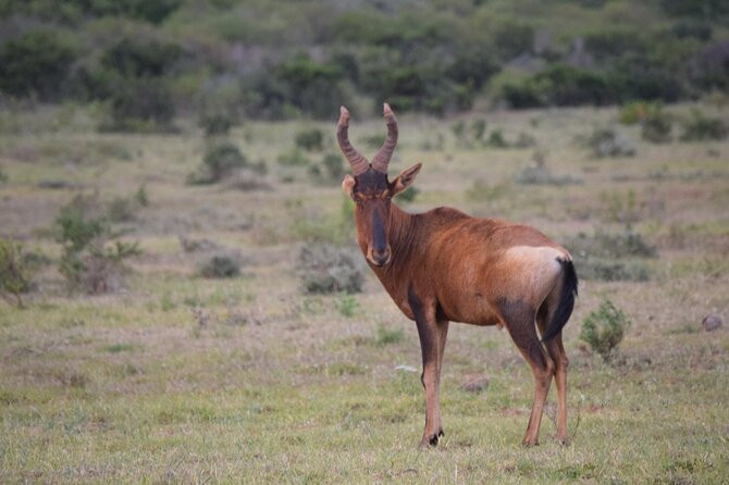 Safari Cycle and !Khwa Ttu San Heritage Experience - Inclusions and Amenities