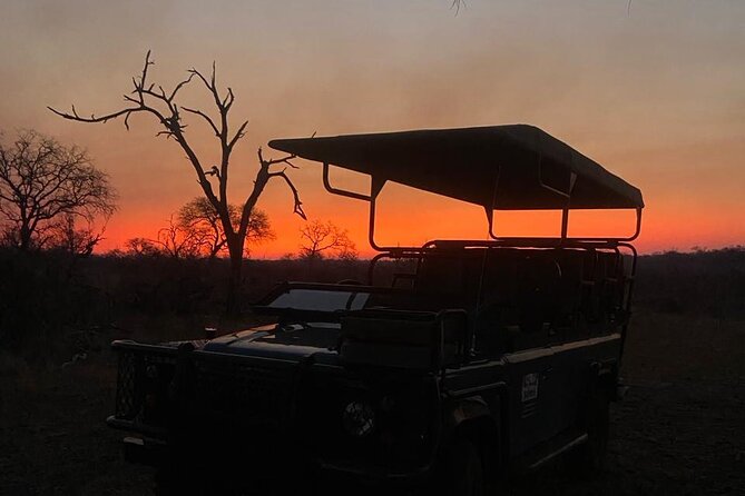 Safari Game Drive in the Greater Kruger Out of Hoedspruit - Highlights of the Safari Experience