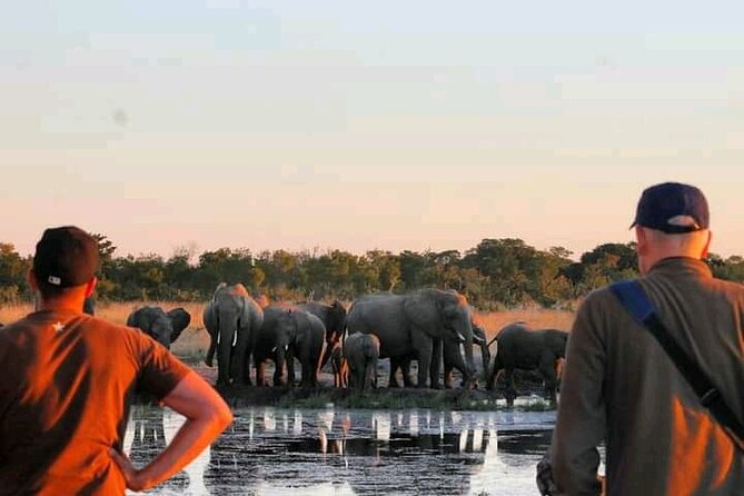 Safari Game Drive in Zambezi National Park - Wildlife Spotting Opportunities