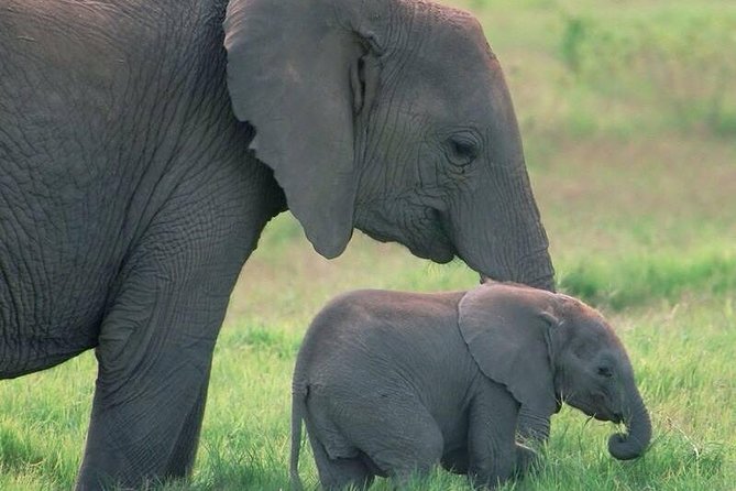 Safari in Tanzania 5 Days: Manyara, Ngorongoro, Serengeti - Descending Into Ngorongoro Crater