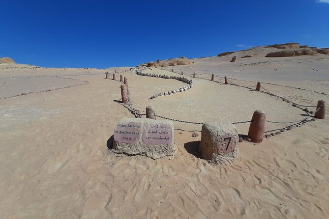 Safari Pravite Day Tour to El Fayoum Oasis Includes Whales Valley by 4X4 Car - Itinerary Overview