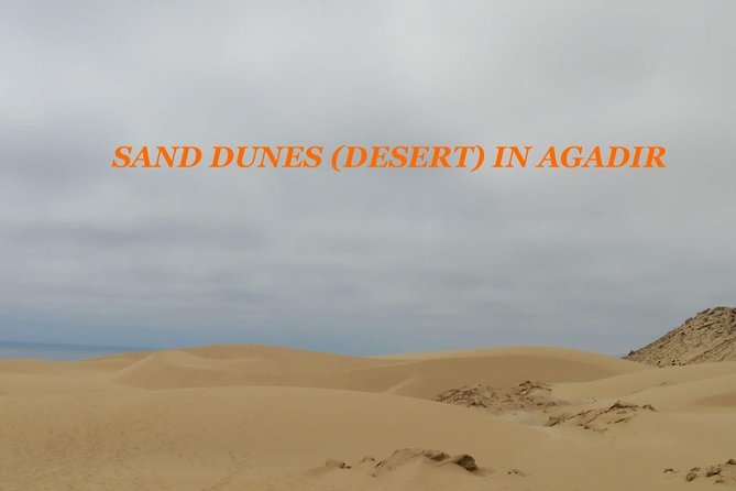 Sahara Tour : Half Day Trip to Sahara (Sand Dunes ) With Lunch - Whats Included