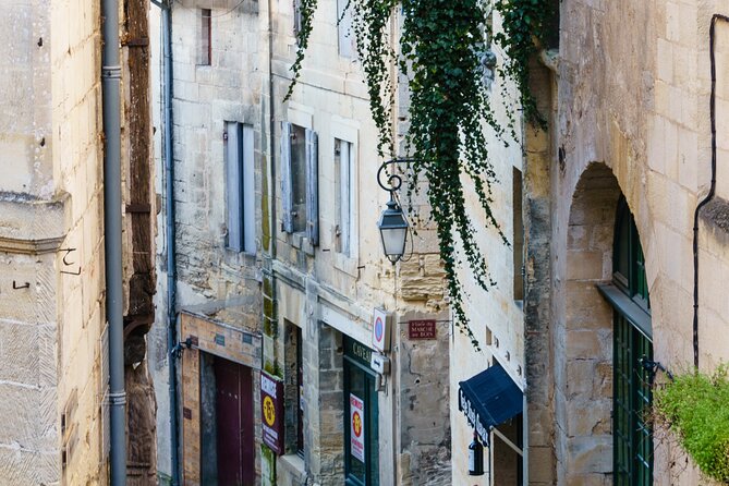 Saint-Emilion and Vineyard Walk With Wine Tasting - Exploring Château Saint-Georges Cote Pavie
