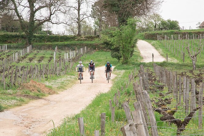 Saint-Émilion by Bike Gravel & Wine Tasting - Family Estate Wine Tasting