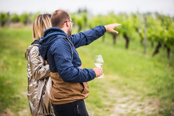 Saint-Georges Saint-Emilion Walking and Biking Tour With Lunch  - France - Winemaking Secrets Unveiled