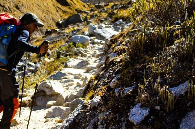 Salkantay Trek 4 Days - Detailed Itinerary and Trekking Route