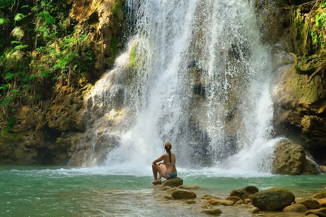 Samana, Waterfall El Limon, Bacardi Island, Whales Watching Group Excursion - Customer Reviews and Feedback