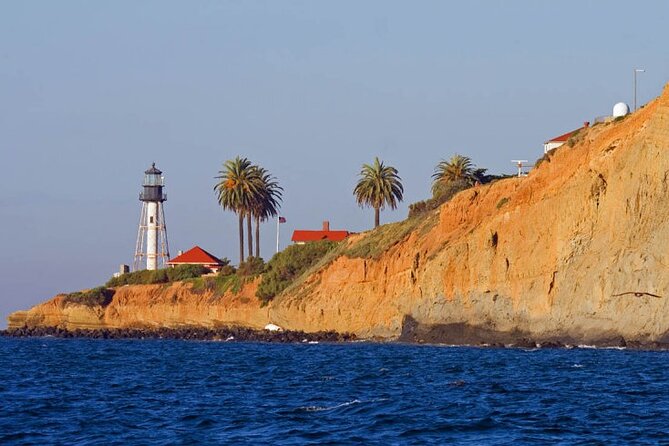San Diego: High-Speed Bay Cruise With Local Guide - Meeting and End Point