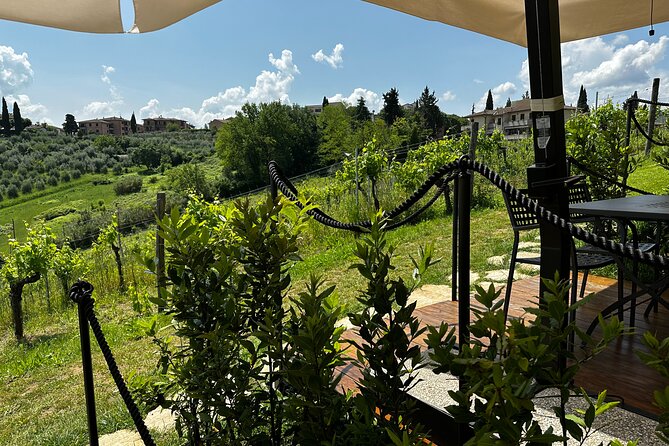San Gimignano Afternoon Vineyard Break - Unraveling the Winemaking Process
