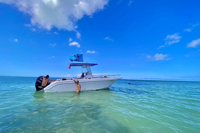 Sandbar Snorkel in the Backcountry of Key West - Experience Highlights