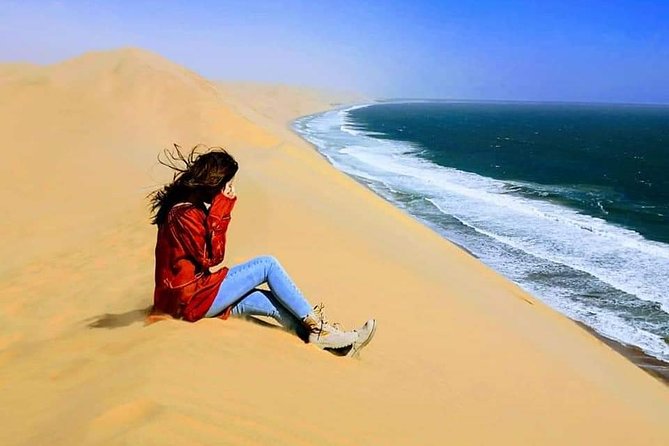 Sandwhich Harbour Dune 4x4 Half Day - Wildlife Spotting
