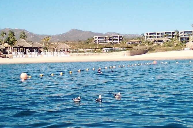 Santa Maria and Chileno Bay Snorkel Adventure Los Cabos - Tour Inclusions