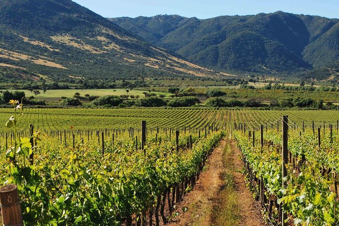 Santiago Full Day Tour to Colchahua Valley, Include Entraces - Guiding and Language