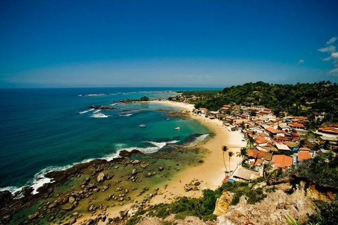 Sao Paulo Airport Transfers: Guarulhos Airport GRU to Sao Paulo in Luxury Van - Amenities and Inclusions