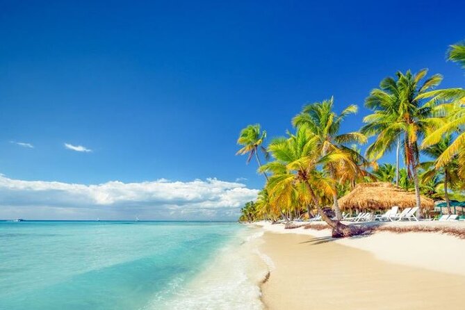 Saona Island Full-Day Excursion - Included Activities and Amenities