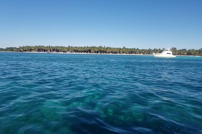 Saona Island Full Day Tour From Las Terrenas - Transportation Arrangements