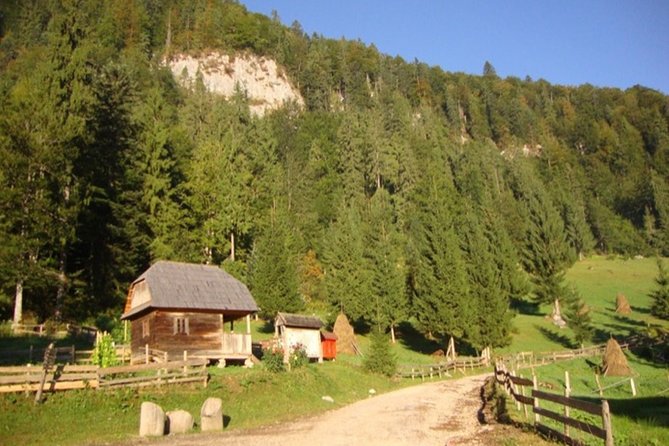 Scarisoara Ice Cave - One Day Car Tour From Oradea - Discovering the Ancient Ice Walls