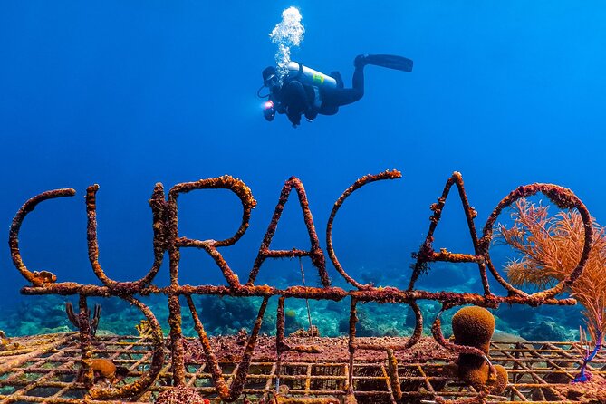 Scuba Beginner Diving and Snorkeling With Lunch From Hurghada - Pickup Details