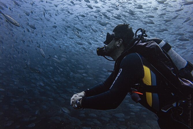 Scuba Diving - Guided Scuba Diving Tour Details