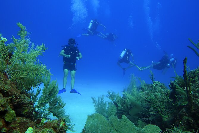 SCUBA Diving Adventure in Mahahual, SCUBA Gear Included - Transportation and Meeting Details