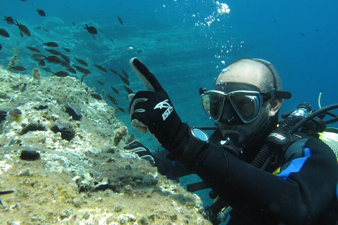 Scuba Diving Adventure in Santorini - Experience Overview