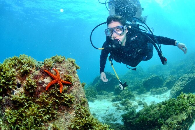 Scuba Diving in Fujairah With Private Transfers - Included Features and Benefits