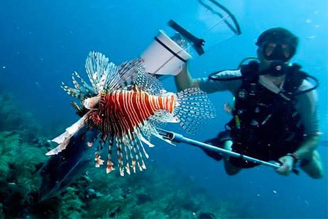 Scuba Diving Sustainable Lion Fish Spearfishing - Inclusions and Booking Information