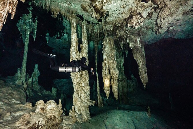 Scuba Diving Tours - Meeting and Pickup
