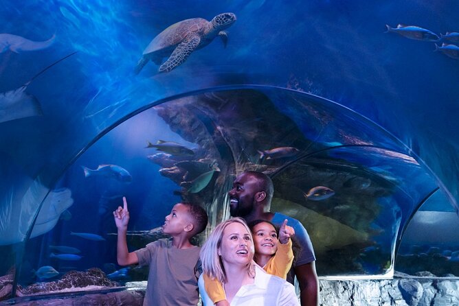 SEA LIFE Aquarium Minnesota Admission Ticket at Mall of America - Themed Exhibits and Attractions