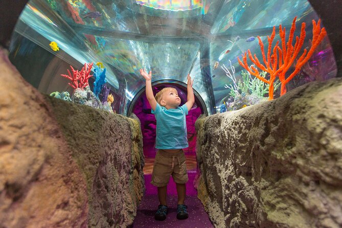 Sea Life Charlotte Concord Aquarium Admission Ticket - Aquarium Exhibits and Attractions